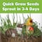 12 Pack: Creativity for Kids® Grow N' Glow Terrarium